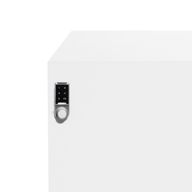Programmable Locks