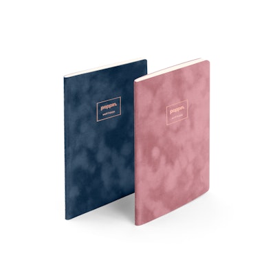 Assorted Velvet Small Notebooks, Set of 2