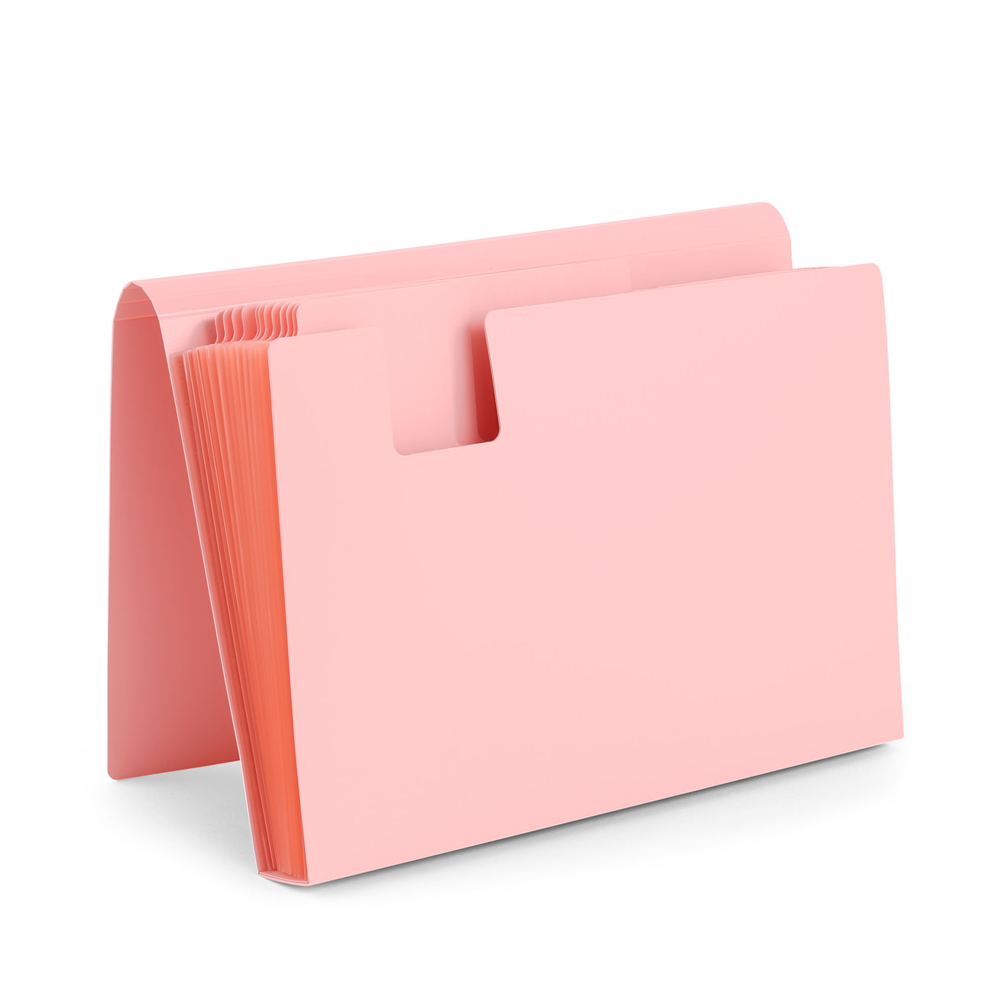 Blush Accordion File