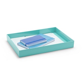 Large Accessory Tray